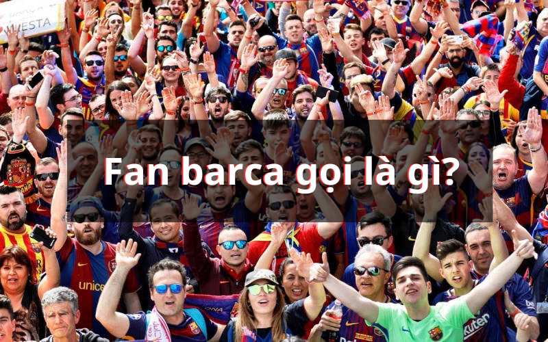 Fan barca gọi là gì?