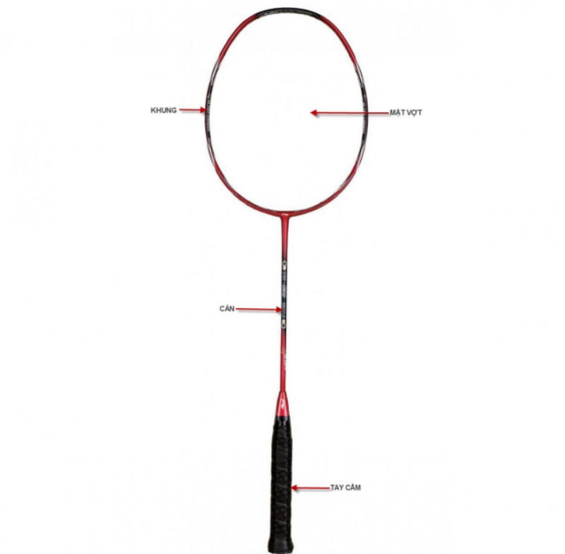 Các bộ phận cấu tạo của vợt cầu lông