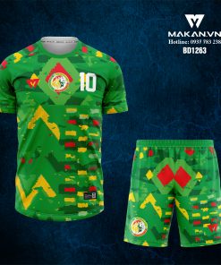Áo bóng đá đội tuyển Senegal BD1263